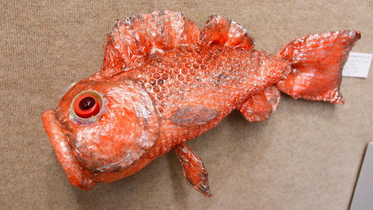 Ingrid Goelz, a co-founder of the Cayucos Art Association is working with a new media, recycled plastics. This vermillion red snapper is made of bubble wrap and other items. The artist is making a mural on Cayucos skate park wall. David Middlecamp 3-21-2019
