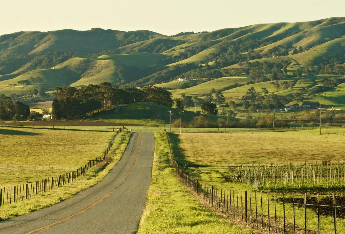 Morro Bay resident Teddy Llovet writes about one of his favorite places in his poem, "Los Osos: Valley of the Bears."