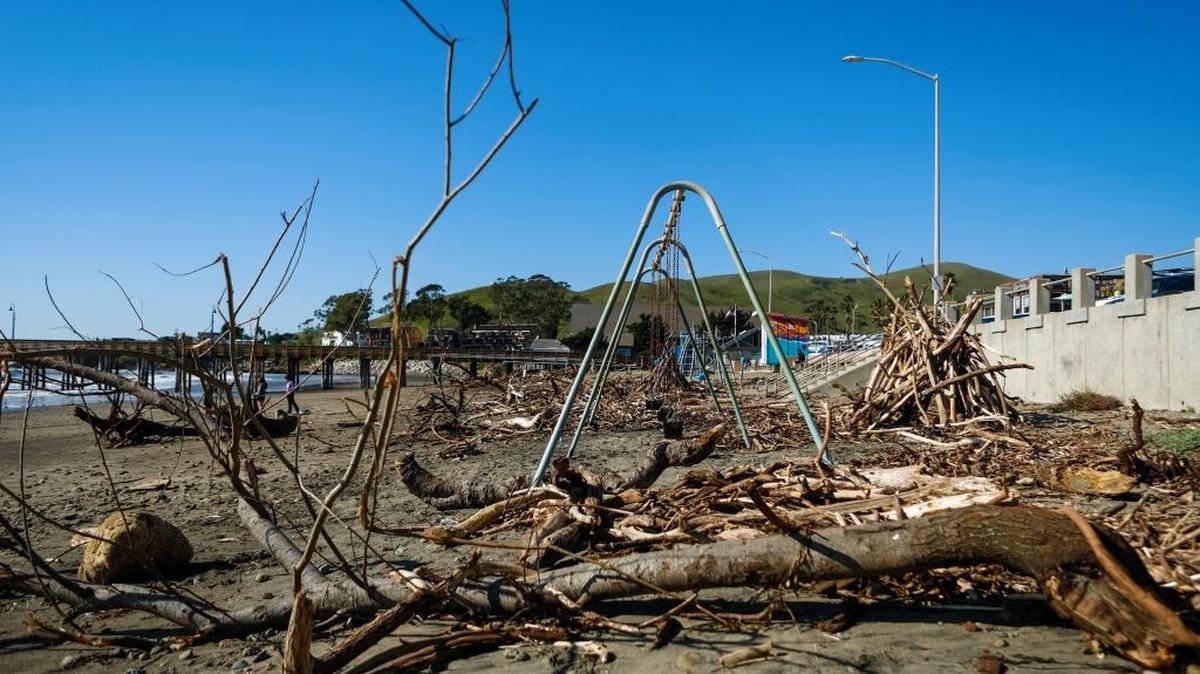 Driftwood near the Cayucos Pier in January 2017.