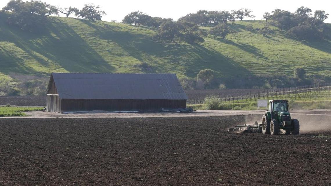 Who am I? ‘The Life of a Farmer,’ ‘A Gemini Dream’ and other poems exploring identity