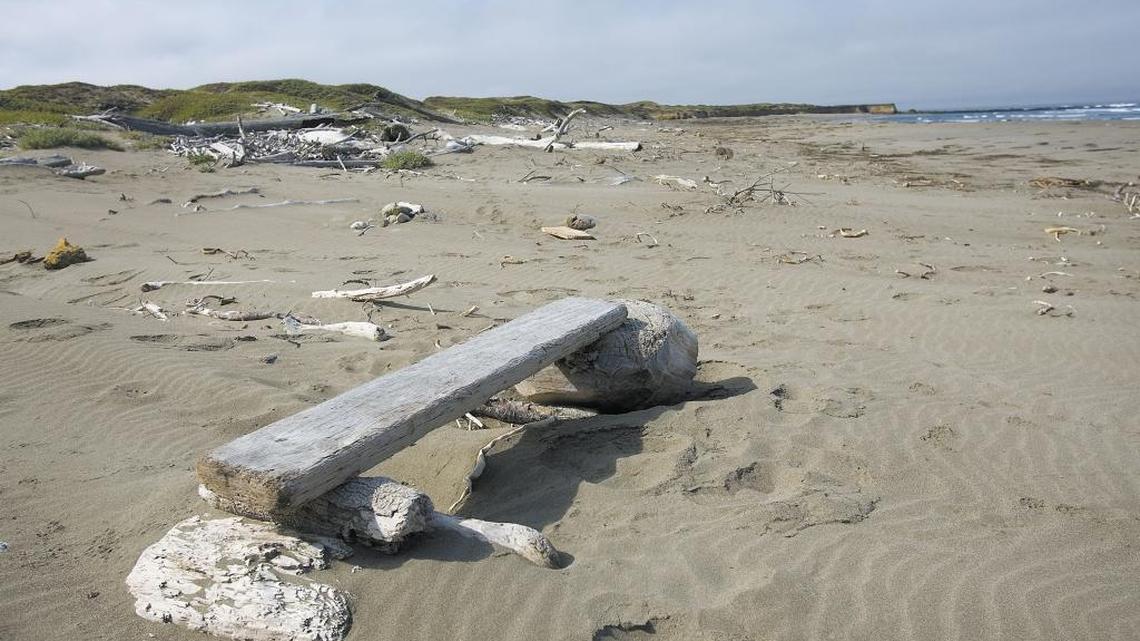 Who am I? More poems on identity, by SLO County kids as young as 6