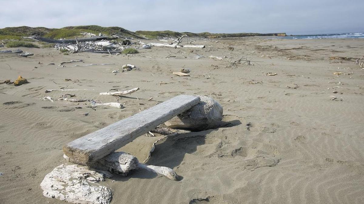 Beach on the North Coast of San Luis Obispo County.