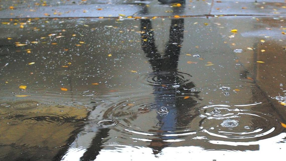 Who am I? More poems about identity and diversity