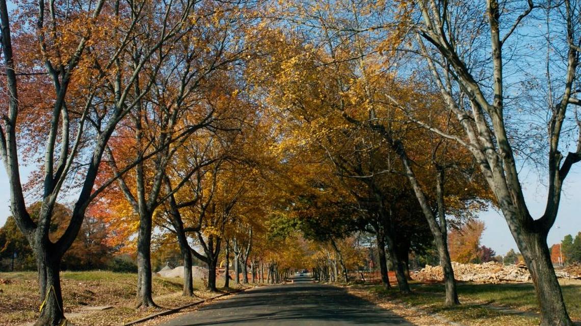 Who am I? Words of ‘Grace’ and ‘Peaceful Strength’ from SLO County poets