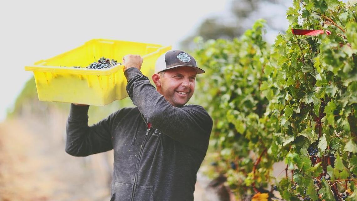 Joe Barton Jr. is the winemaker at Barton Family Wines and Grey Wolf Cellars in Paso Robles.