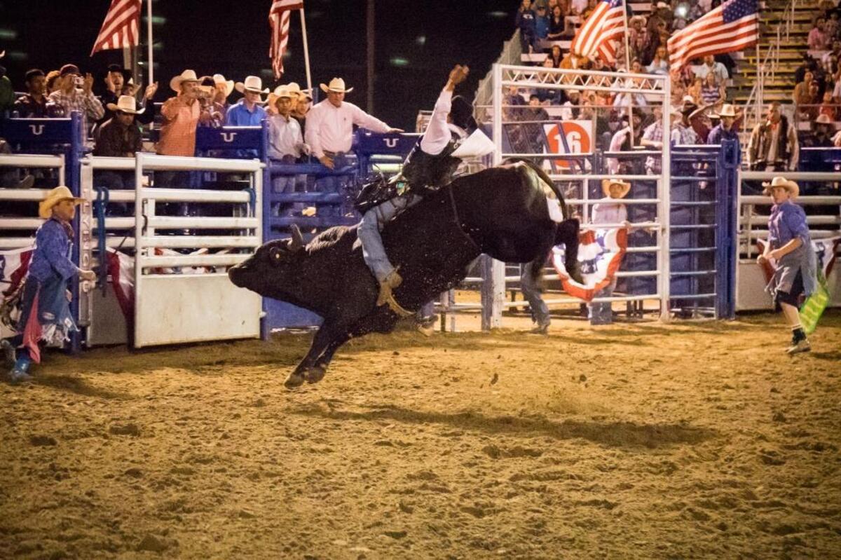 Bikes, Bulls & Pulls, a new event at the California Mid-State Fair in Paso Robles, will feature professional bull riding.