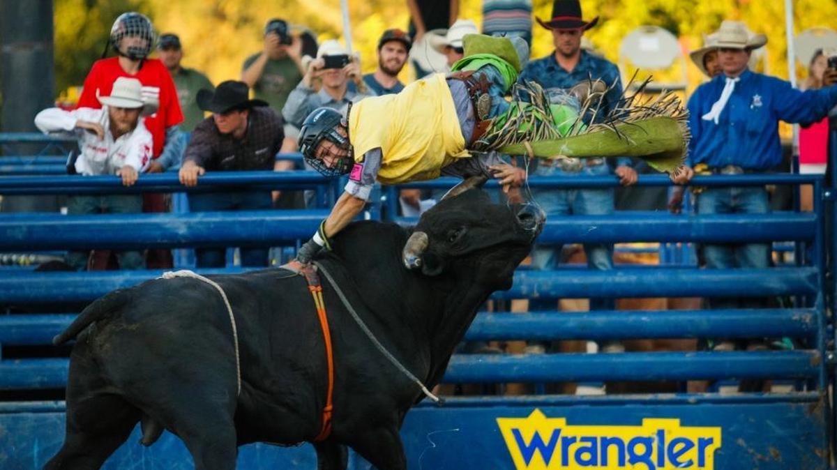 Bikes, Bulls & Pulls, a new event at the California Mid-State Fair in Paso Robles, will feature professional bull riding, among other activities.