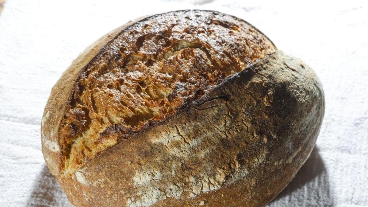 The Sonora Loaf at Pagnol @ Third Street Bakery in Los Osos is made with Sonora wheat, a white wheat that’s the oldest variety grown in California.