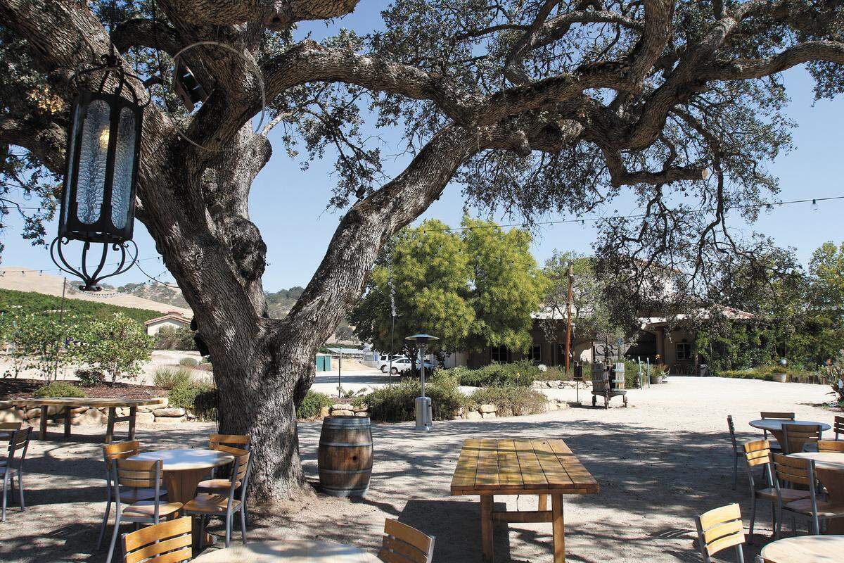 The Cafe is located at Cass Vineyard & Winery in Paso Robles.