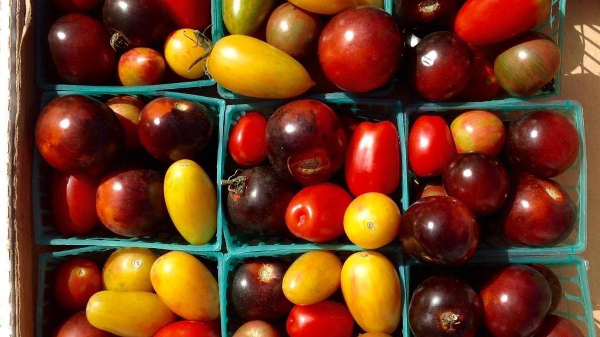 SLO Grown Produce in Arroyo Grande sells heirloom tomatoes at farmers markets around the Central Coast.