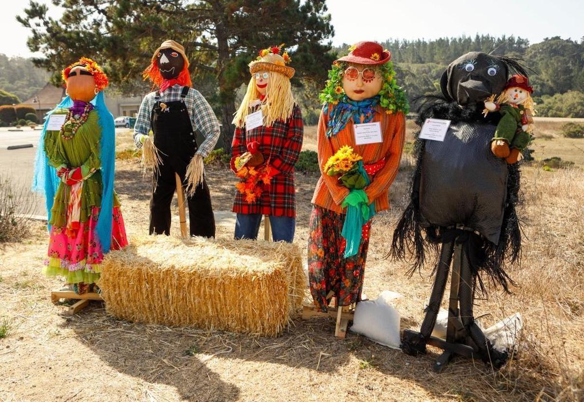 A new batch of scarecrows have cropped up for the annual Cambria Scarecrow Festival.