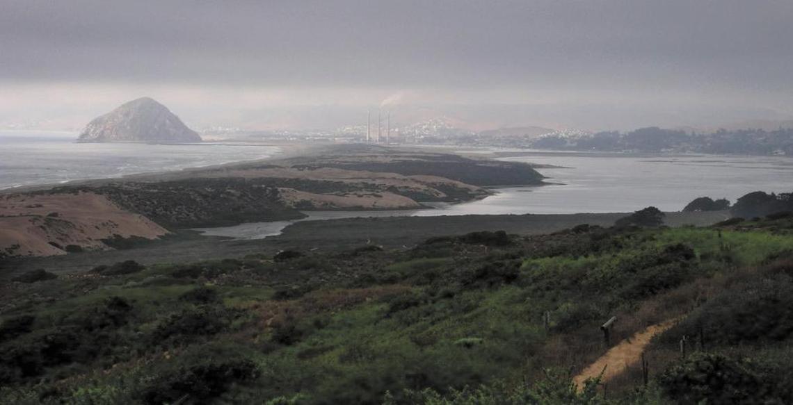 Filming locations for 2002’s “Murder by Numbers,” starring Sandra Bullock and Ryan Gosling, include Morro Bay and Montaña de Oro State Park.