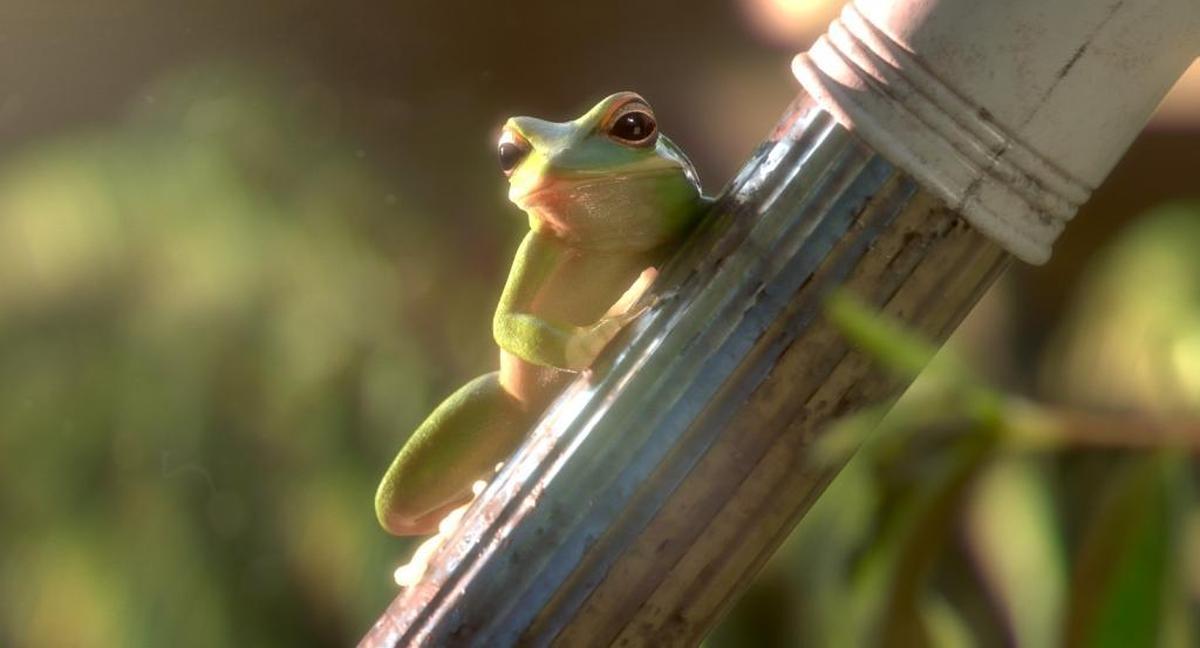 “Garden Party,” nominated for an Oscar for best animated short film, will be screened at the San Luis Obispo International Film Festival in March.
