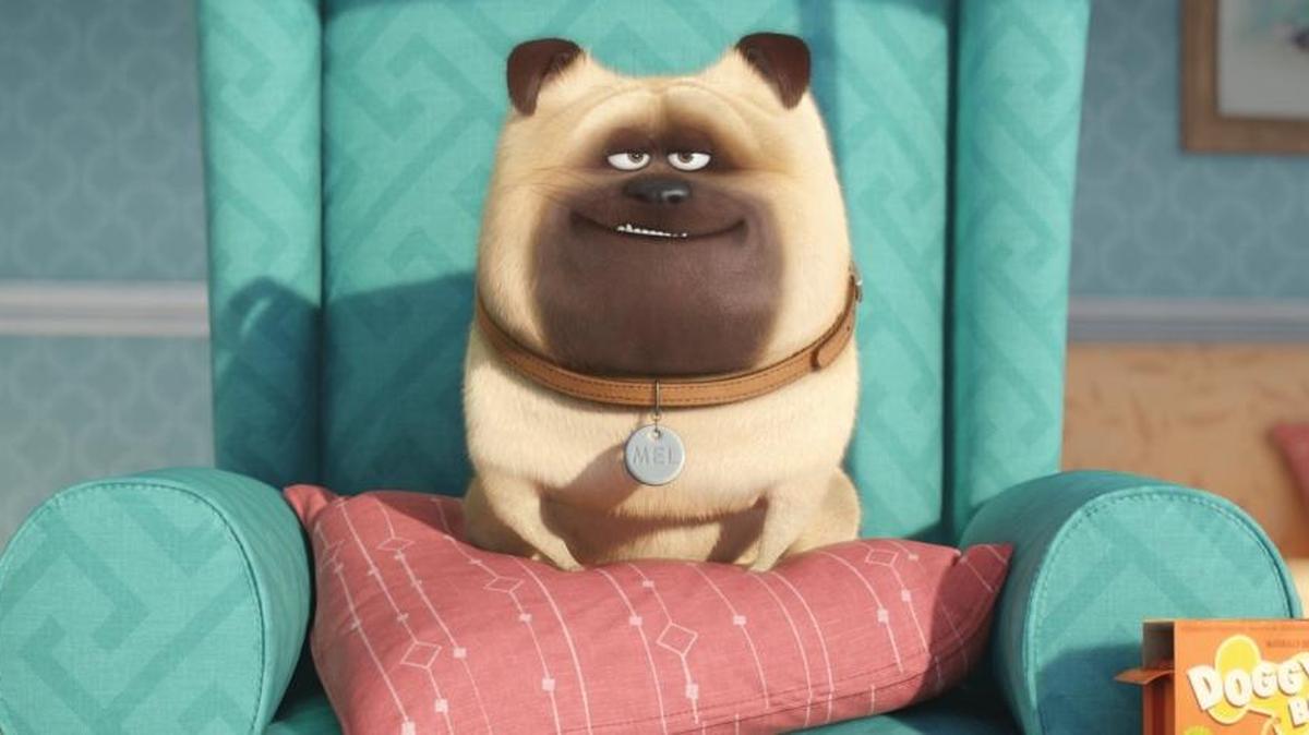 In this image released by Universal Pictures, Mel, voiced by Bobby Moynihan, appears in a scene from, “The Secret Lives of Pets.”