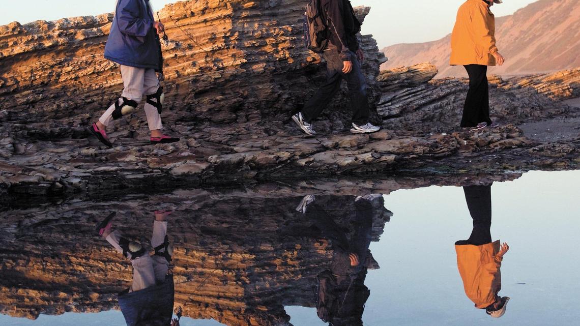 How did Montana de Oro become a state park? Fate was decided in bankruptcy court