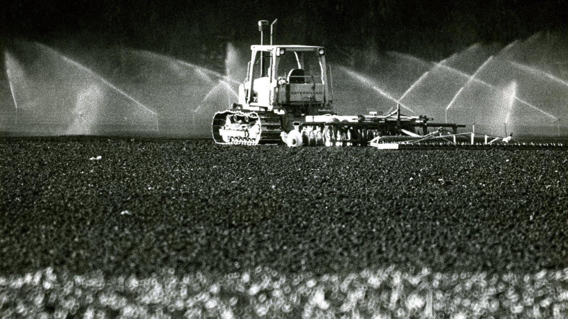 Sprinklers irrigate Dalidio property. Wells in the area was discovered to have chemicals TCE and PCE, photo published March 30, 1989. The solvents dispersed in sprinkling and were safe for agriculture but levels were too high for drinking water unless treated.