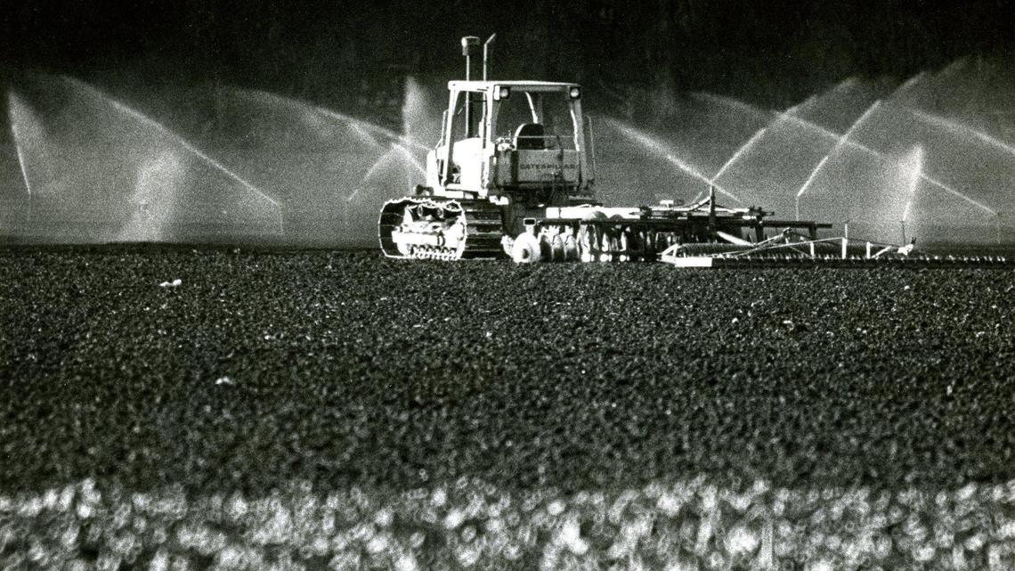 SLO homeowners saw sinking ground, cracked floors in 1990s. One couple guessed the culprit