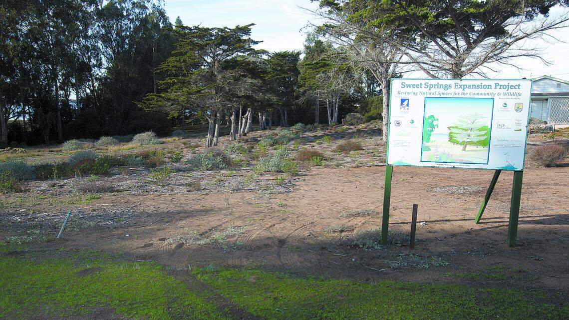A sign, above, marks the area of the East Sweet Springs expansion area in Los Osos.
Photo by Laura Dickinson 11-23-14