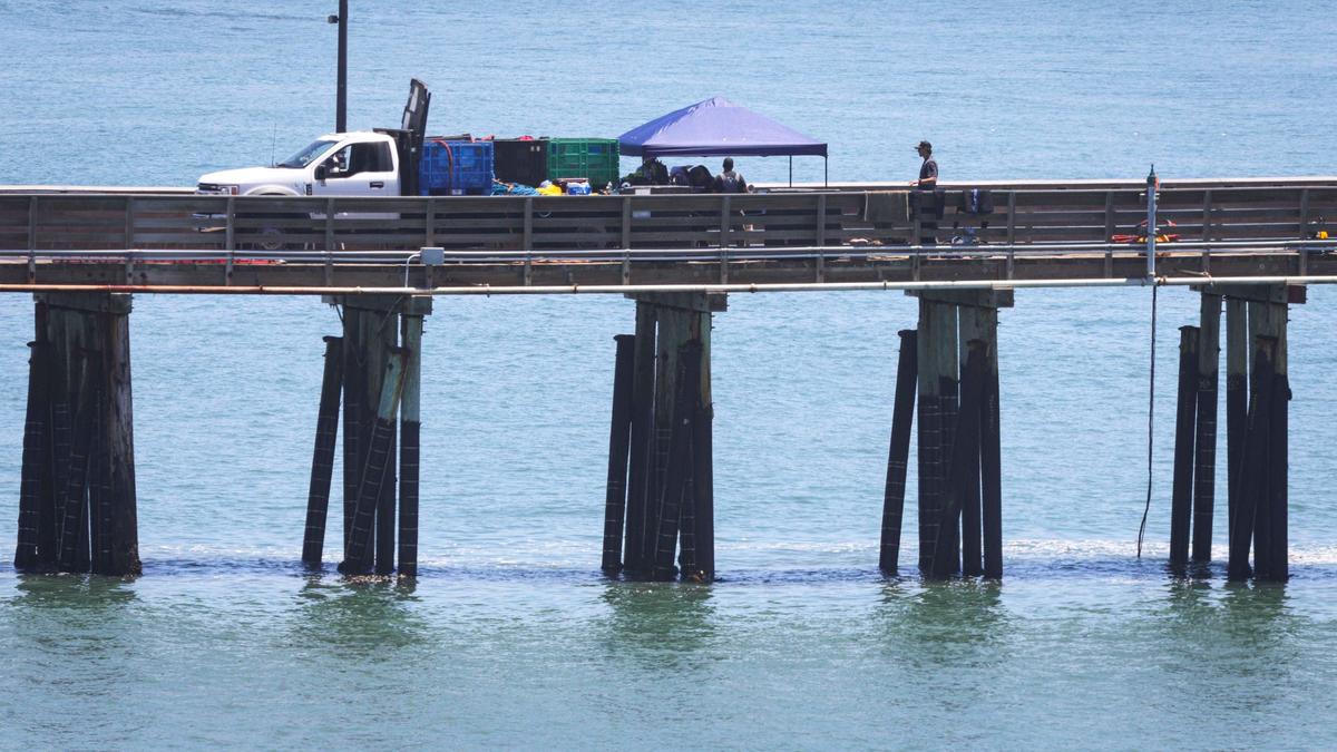 The end of Cayucos Pier was damaged in a Feb. 20, 2024, storm when pilings were washed away. Richard Brady and Associates were conducting a visual inspection in June 2024 for San Luis Obispo County Parks and Recreation Department. This view is from June 25, 2024.