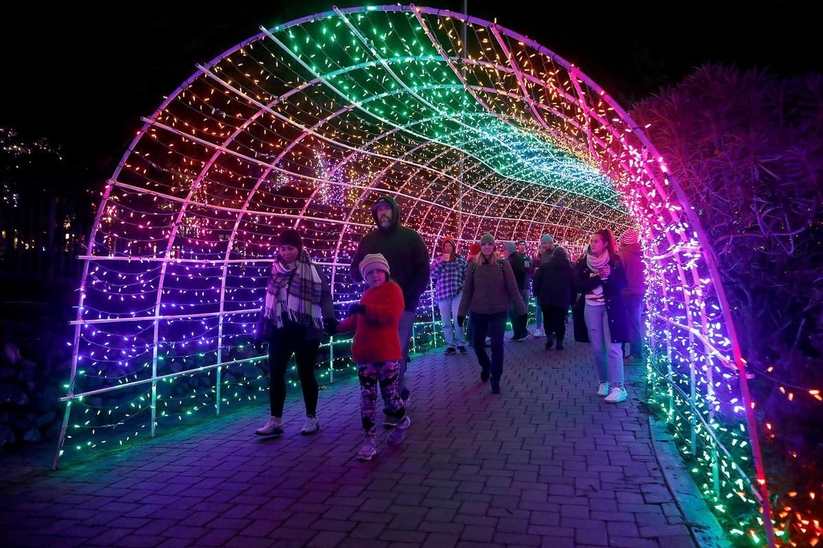 People enjoy the Tunnel of Lights at the Cambria Christmas Market, which runs Friday through Dec. 23 at Cambria Pines Lodge.