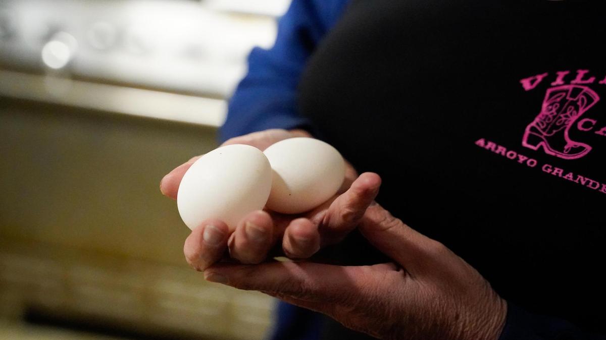 Village Cafe owner Tammi Price said she’s struggling to keep the 57-year-old diner afloat as inflation of prices for breakfast essentials such as bacon and eggs continues to rise. Pictured here Wednesday, Feb. 5 2025.