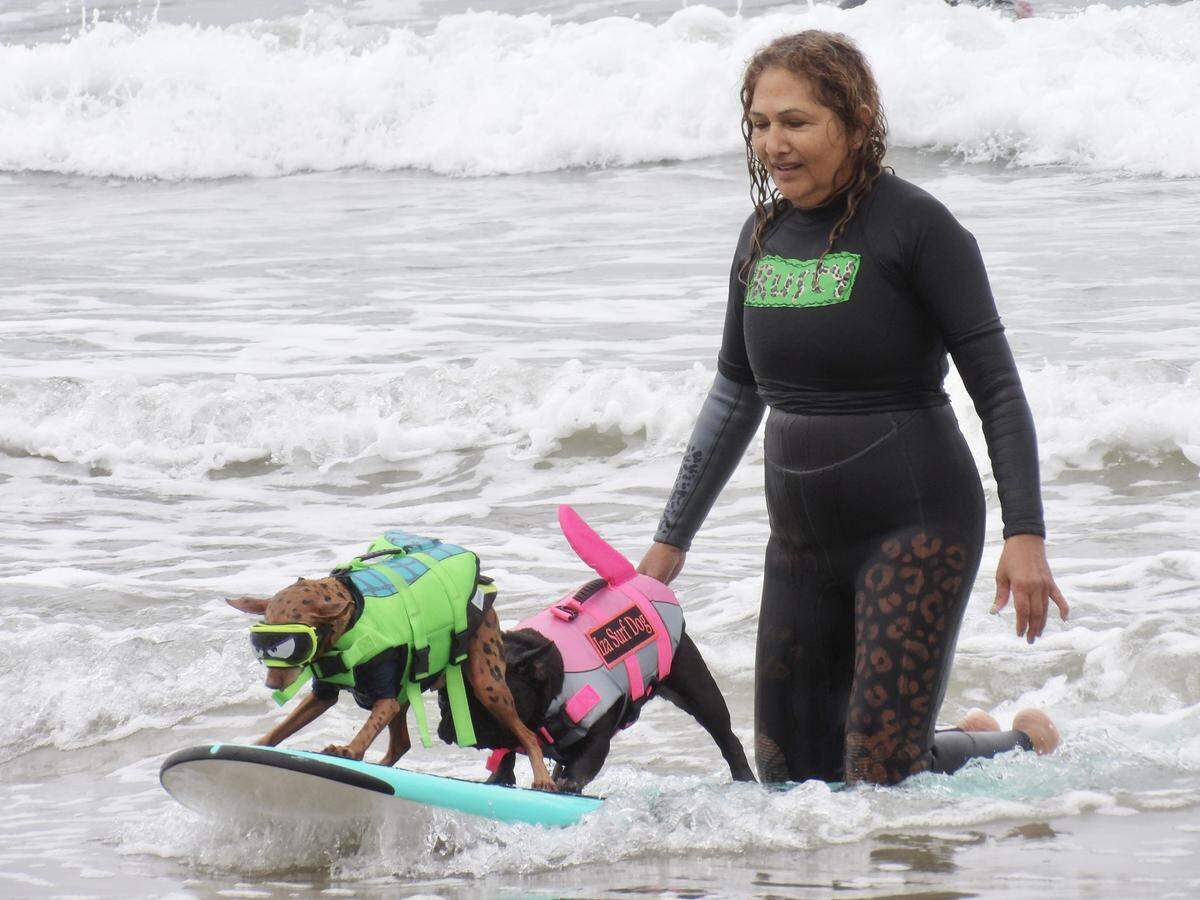 The World Dog Surfing Championships Exhibition Tour took over Pismo Beach on May 2, 2026. Mini pinscher Rusty and French bulldog Iza catch a wave with their human partner during the tandem surf event.