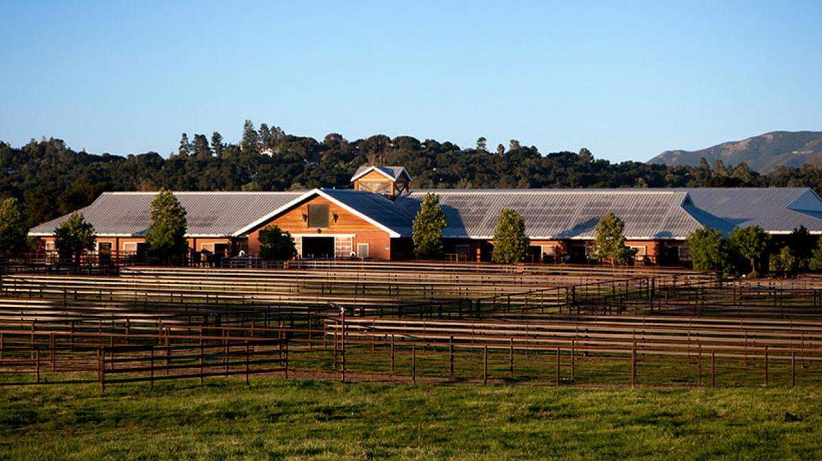 The donation of the 52-acre Templeton Farms will allow the UC Davis School of Veterinary Medicine’s Center for Equine Medicine to expand.