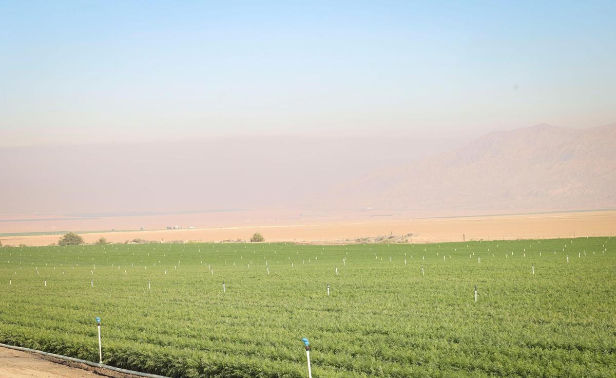 Smoke from the Madre Fire blocked the view of the mountains south of the Cuyama Valley carrot fields on July 3, 2025.