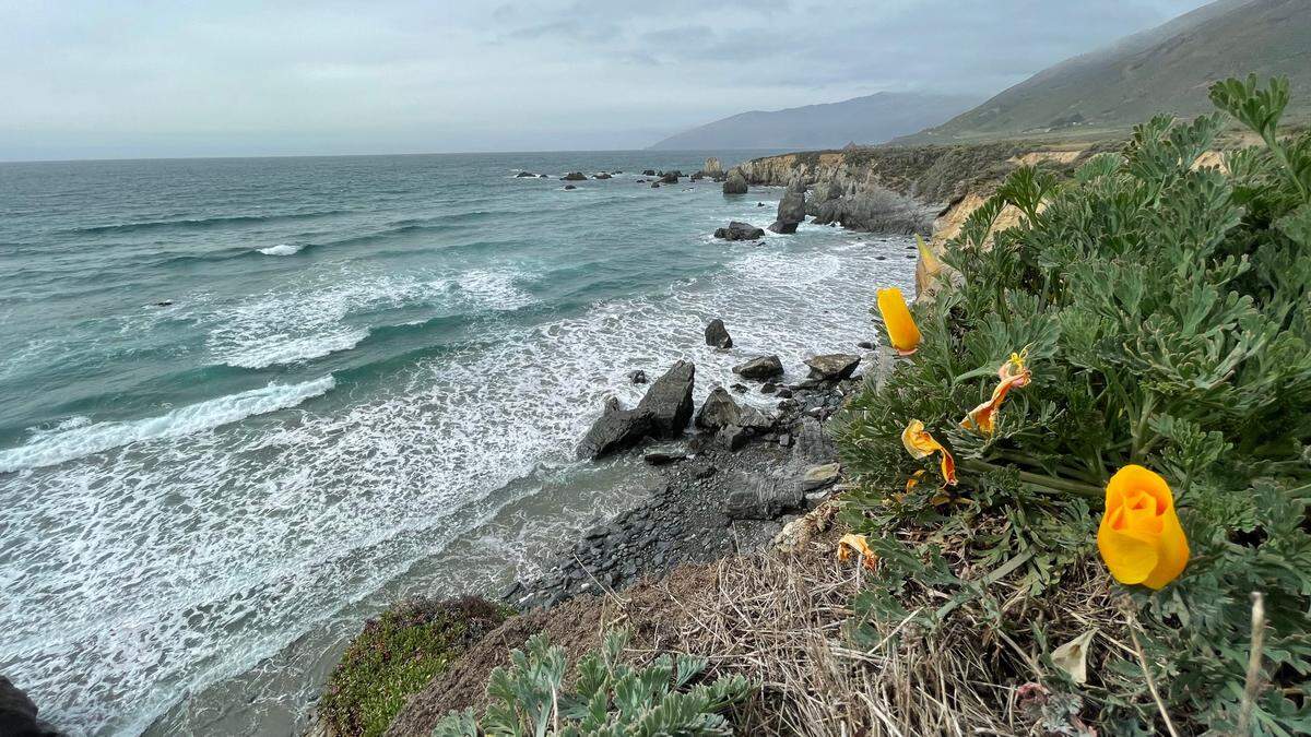 A fisherman died after he was swept off the rocks at Jade Cove, south of Sand Dollar Beach.