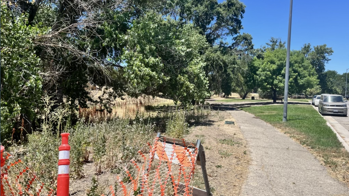 Improvements are coming to Royal Oak Meadows Park in Paso Robles, including a new basketball court and children’s playground.
