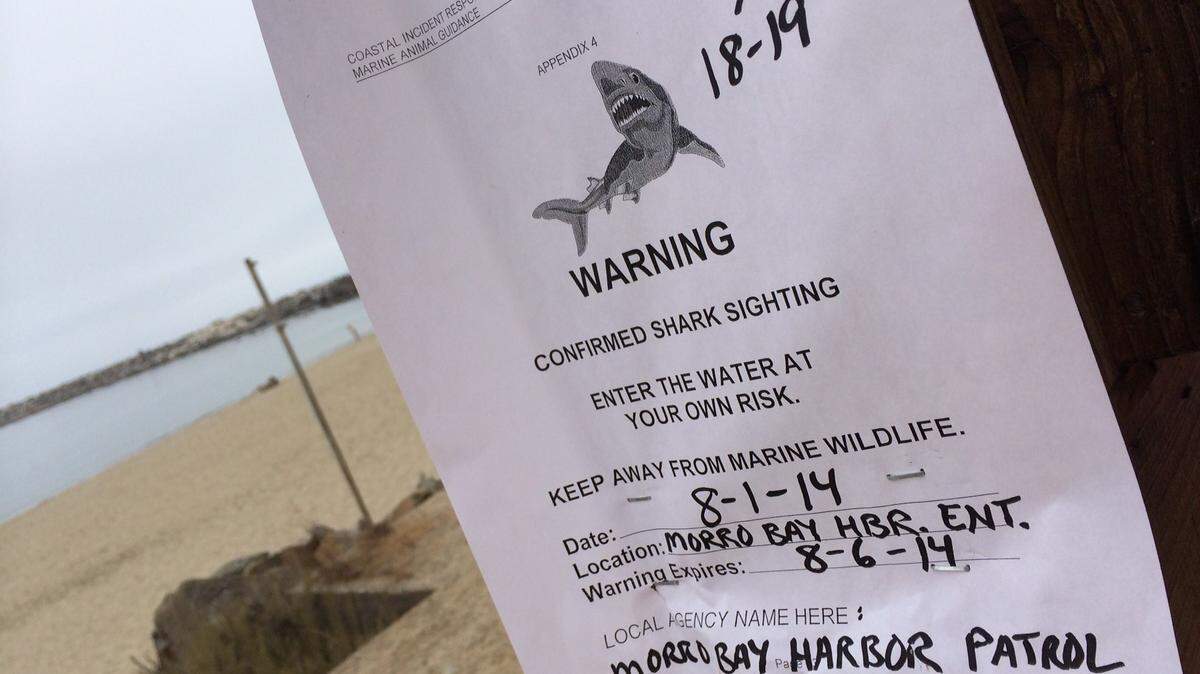 Warning signs were posted in August 2014 after a large shark was spotted at the mouth of the Morro Bay harbor.