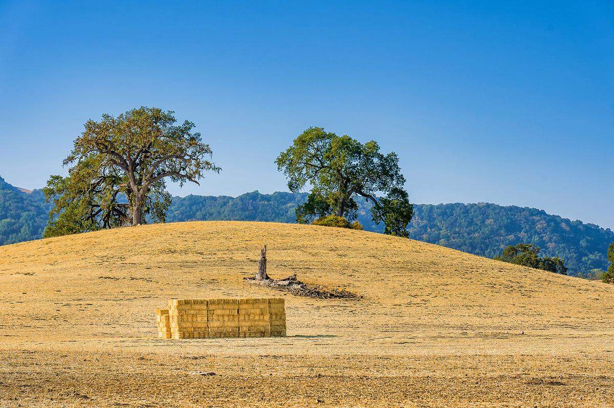 Freshly cut hay bales are stacked in a golden field just off Vineyard Road outside of Paso Robles.