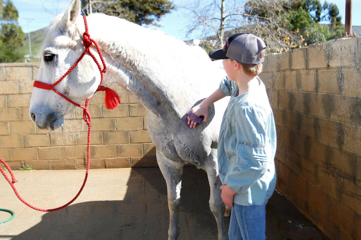 Maddie Owens was diagnosed at age 10 with Ewing osteosarcoma, an aggressive form of bone cancer. Now age 11, she is working with the Cal Poly Rodeo Team through the Mark-a-Wish Foundation to fulfill her wish to be a rodeo barrel racer.