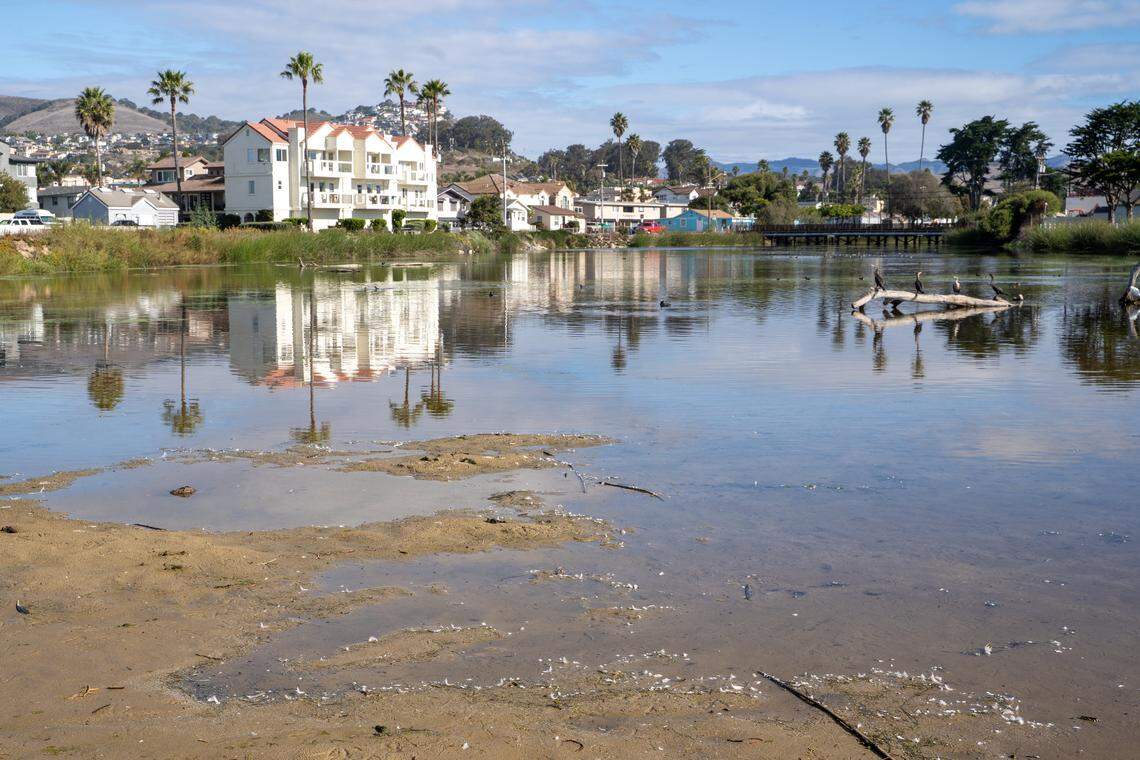The outflow of Pismo Creek cuts through the sandy beachhead near Addie Street in Pismo Beach on Wednesday, Oct. 15, 2025. Members of the Blue Water Task Force are sounding the alarm about the amount of pollutants in the creek's flow, whichthey say is likely caused by humans.