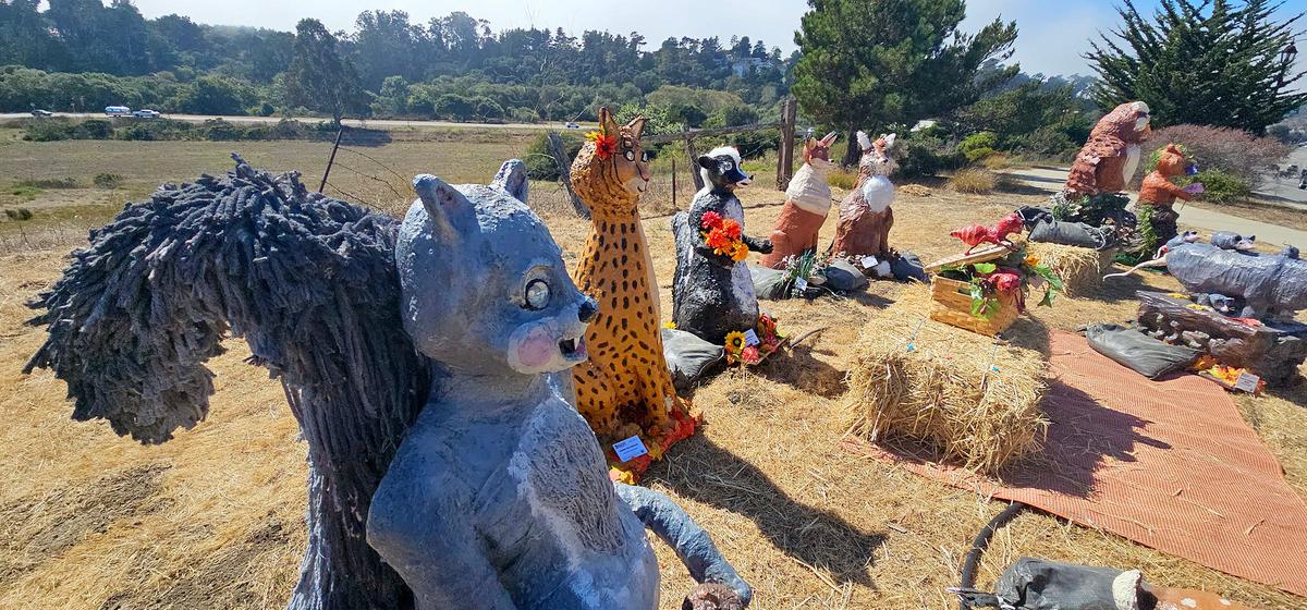 Cambria’s Scarecrow Festival is back. It runs the entire month of October. A group of scarecrow sculptures near the Santa Rosa Catholic Church on Main Street.