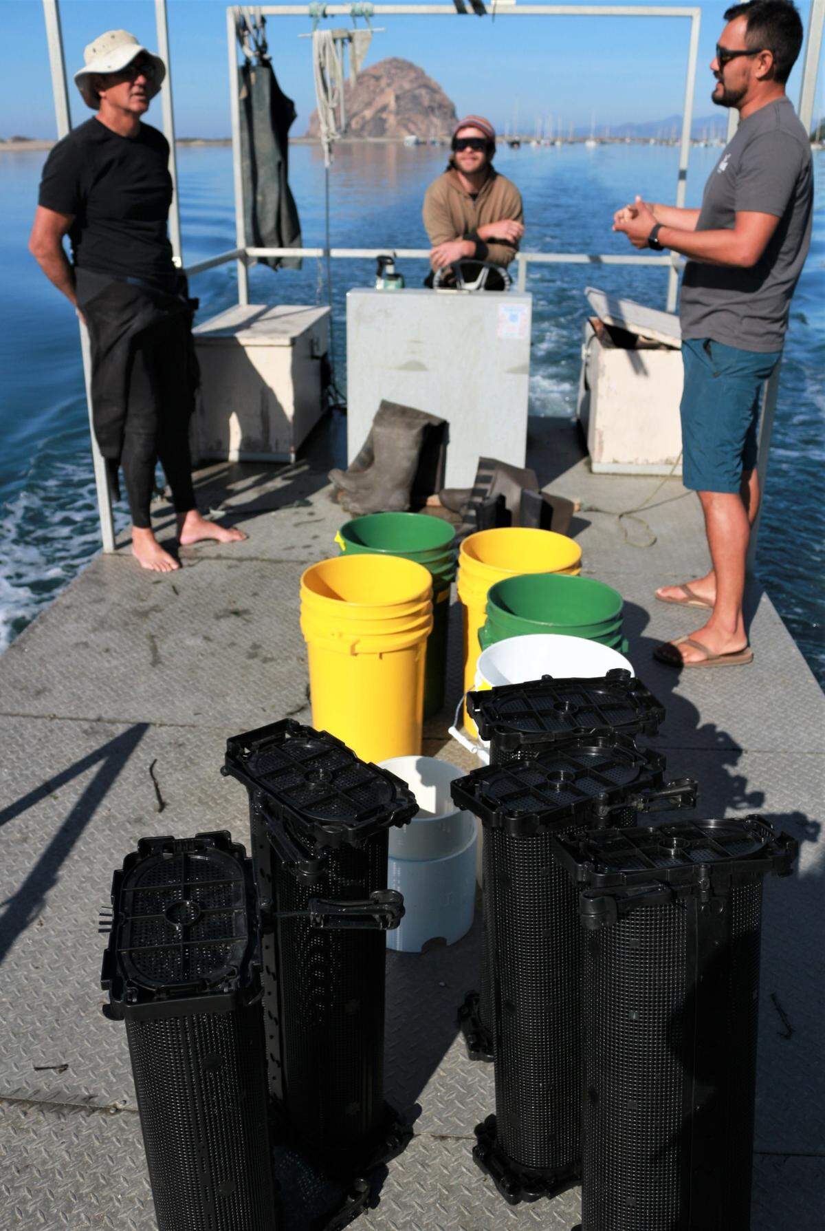 Five black baskets, each filled with 100 native baby Olympia oysters, were placed into the Morro Bay estuary at the Grassy Bar Oyster Co.’s farm. In the background from left are: George Trevelyan, owner of Grassy Bar Oyster Co.; Nate Reiss, Grassy Bay employee, and Kevin Johnson, aquaculture specialist with the California Sea Grant extension program at Cal Poly.