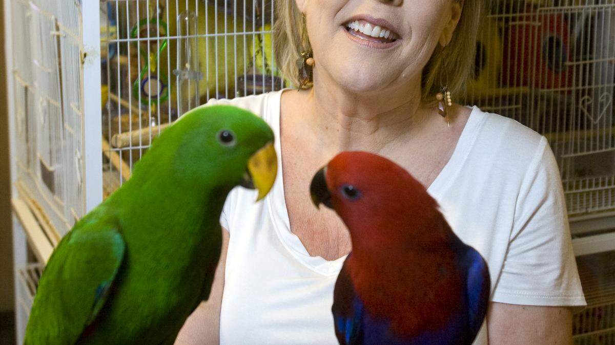 Susie Robertson, owner of Squeaks, Chirps & Bubbles Pet & Feed Store in Los Osos, holds Jade and Ruby, Solomon Island Eclectus parrots (which were born in Morro Bay).