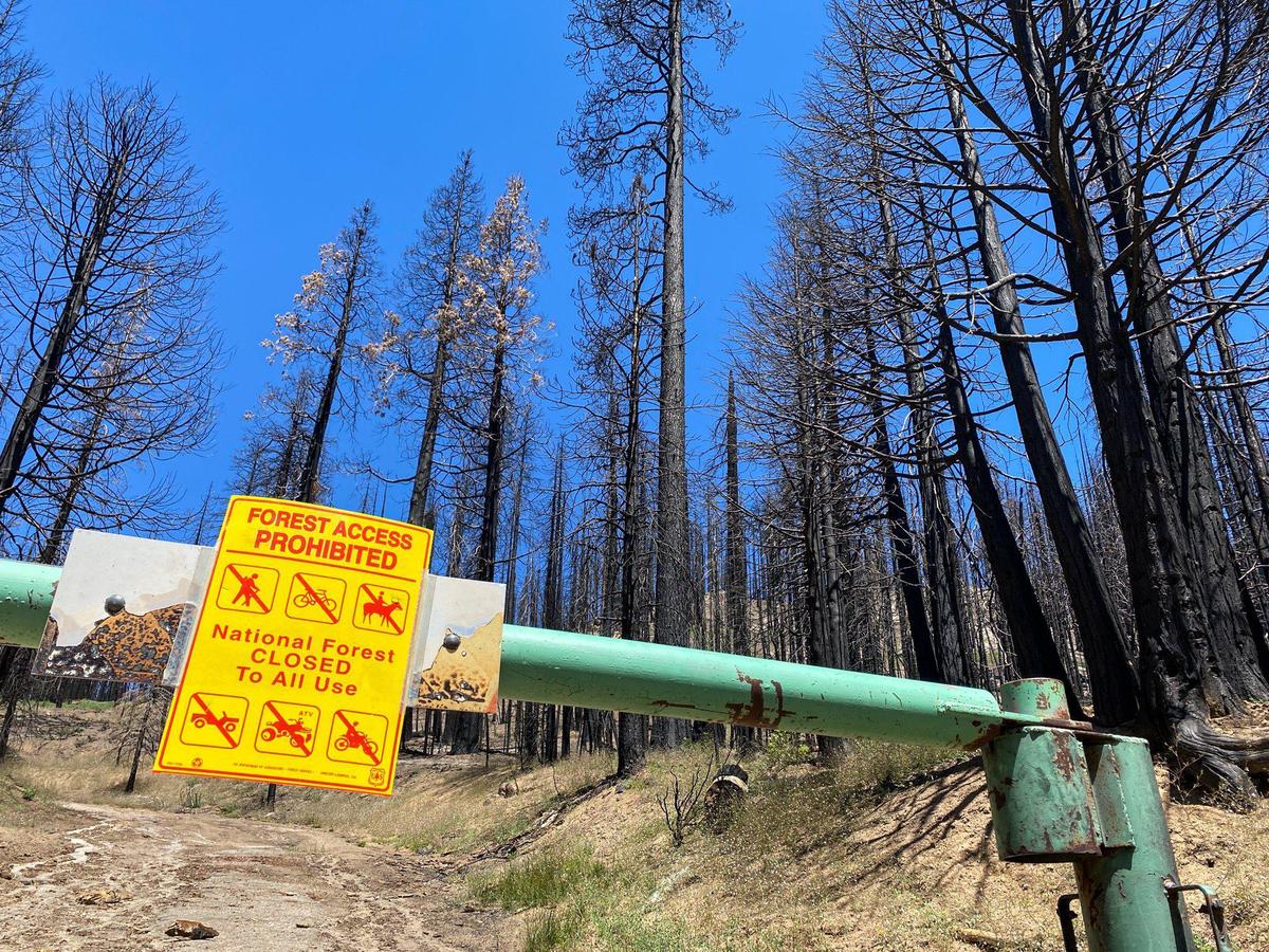 Most of the areas burned in the 2021 Windy Fire along the Western Divide Highway are still closed.
