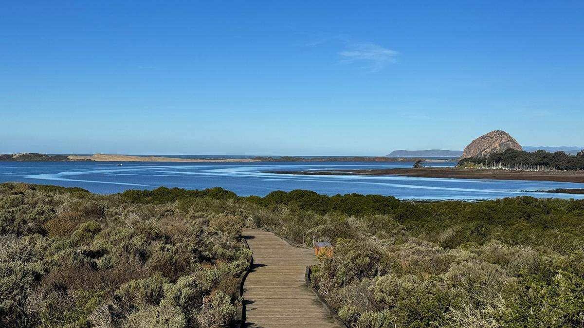 Clear skies over Morro Bay at the El Moro Elfin Forest in Los Osos.