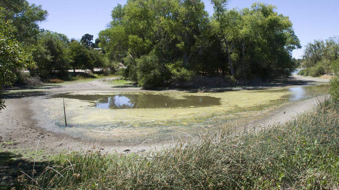 The island no longer has water around it at Atascadero Lake.