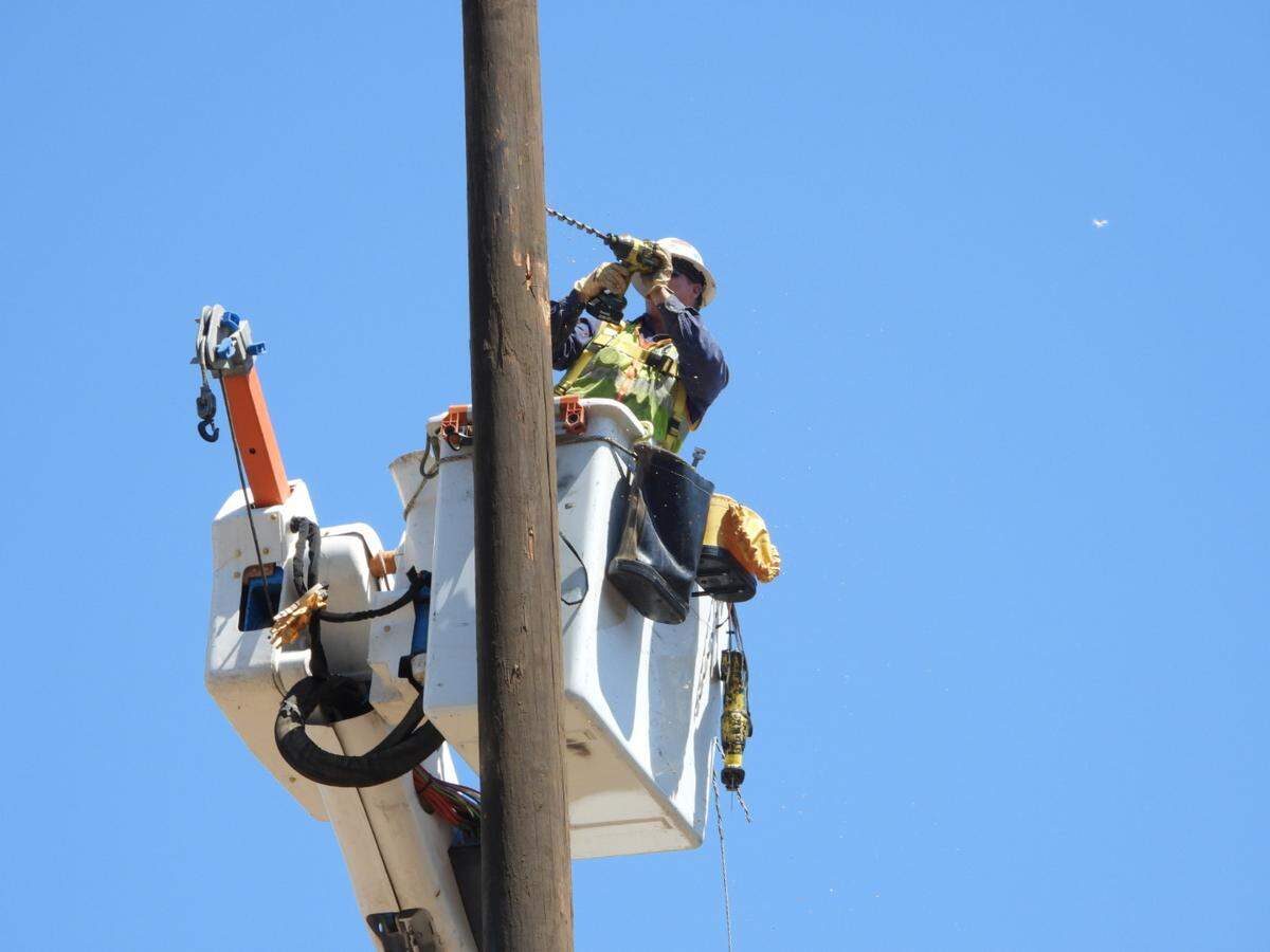 PG&E installed two 80-foot wood poles at Cal Poly to help the university’s logging team host a national forestry competition in 2026, where pole-climbing will be the main sport.