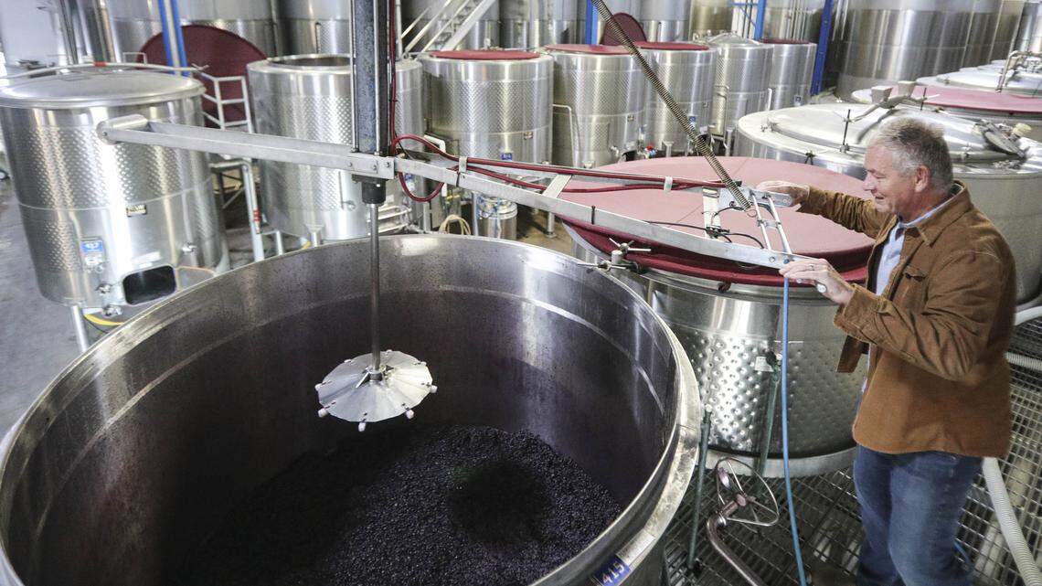 J. Lohr Vice-President of wine making, Steve Peck, demonstrates punching down Petit Verdot, the process of pushing skins deeper in the tank to achieve ideal flavor and color profiles. Seen here on Nov. 6, 2025.