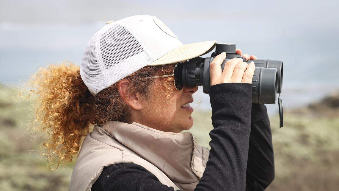Vicky Pease scans the Pacific Ocean on April 9, 2026, during the annual census of migrating gray whales passing the Piedras Blancas Light Station.
