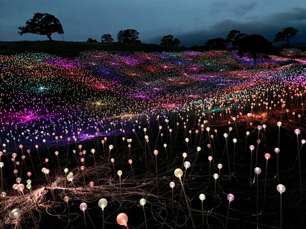 The Field of Light at Sensorio is made up of more than 58,000 stemmed spheres lit by fiber-optic cables.