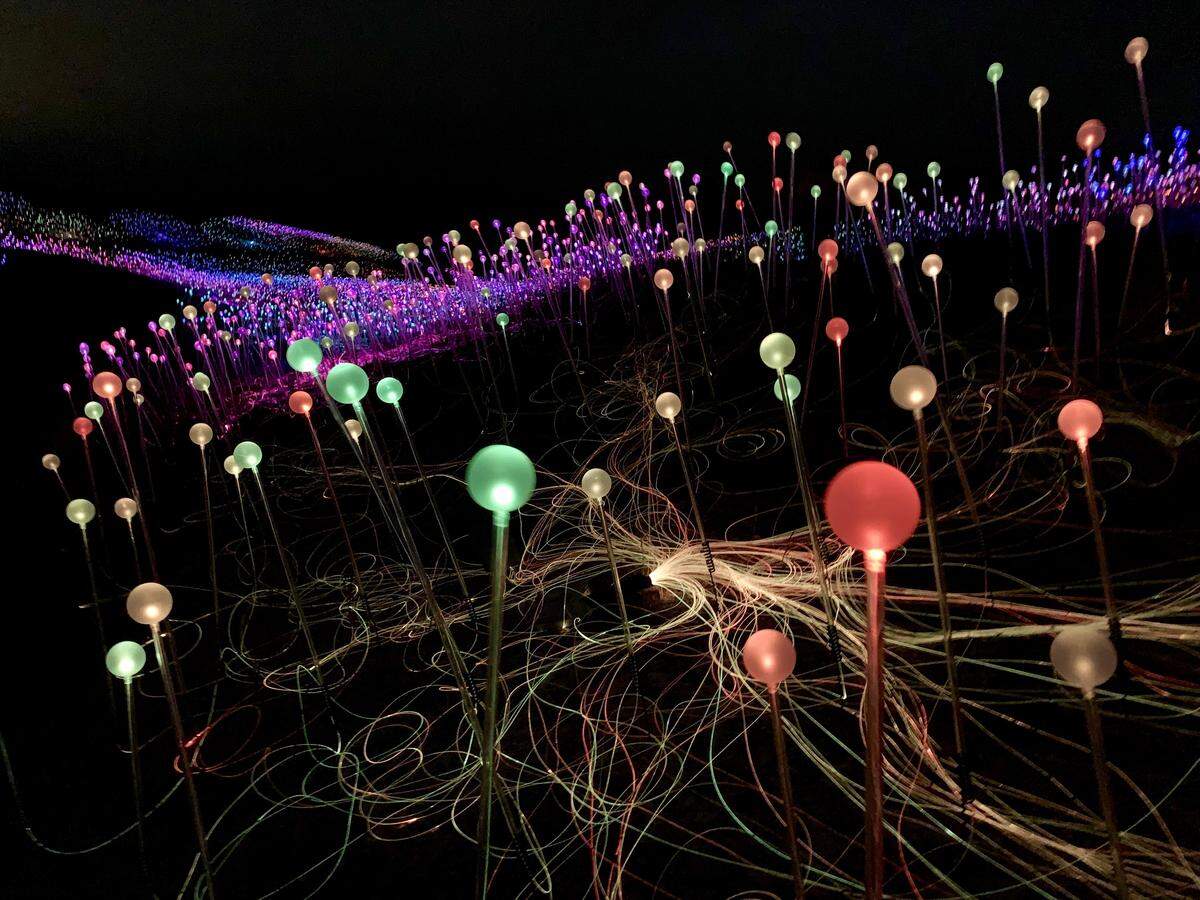 The Field of Light at Sensorio is made up of more than 58,000 stemmed spheres lit by fiber-optic cables.