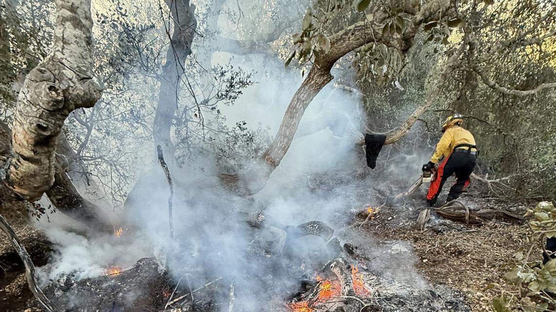 Hard-to-access fire ignites at Elfin Forest in SLO County