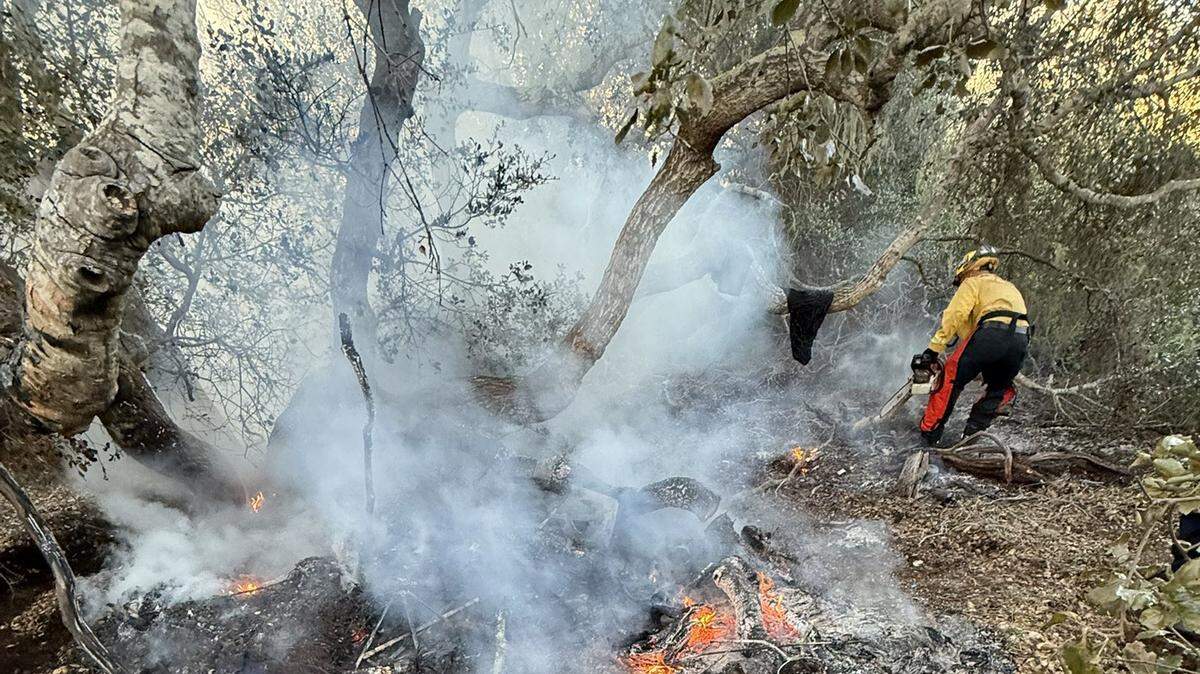 A fire at the Elfin Forest in Los Osos burned a 50-foot by 50-foot plot of vegetation on March 5, 2026.