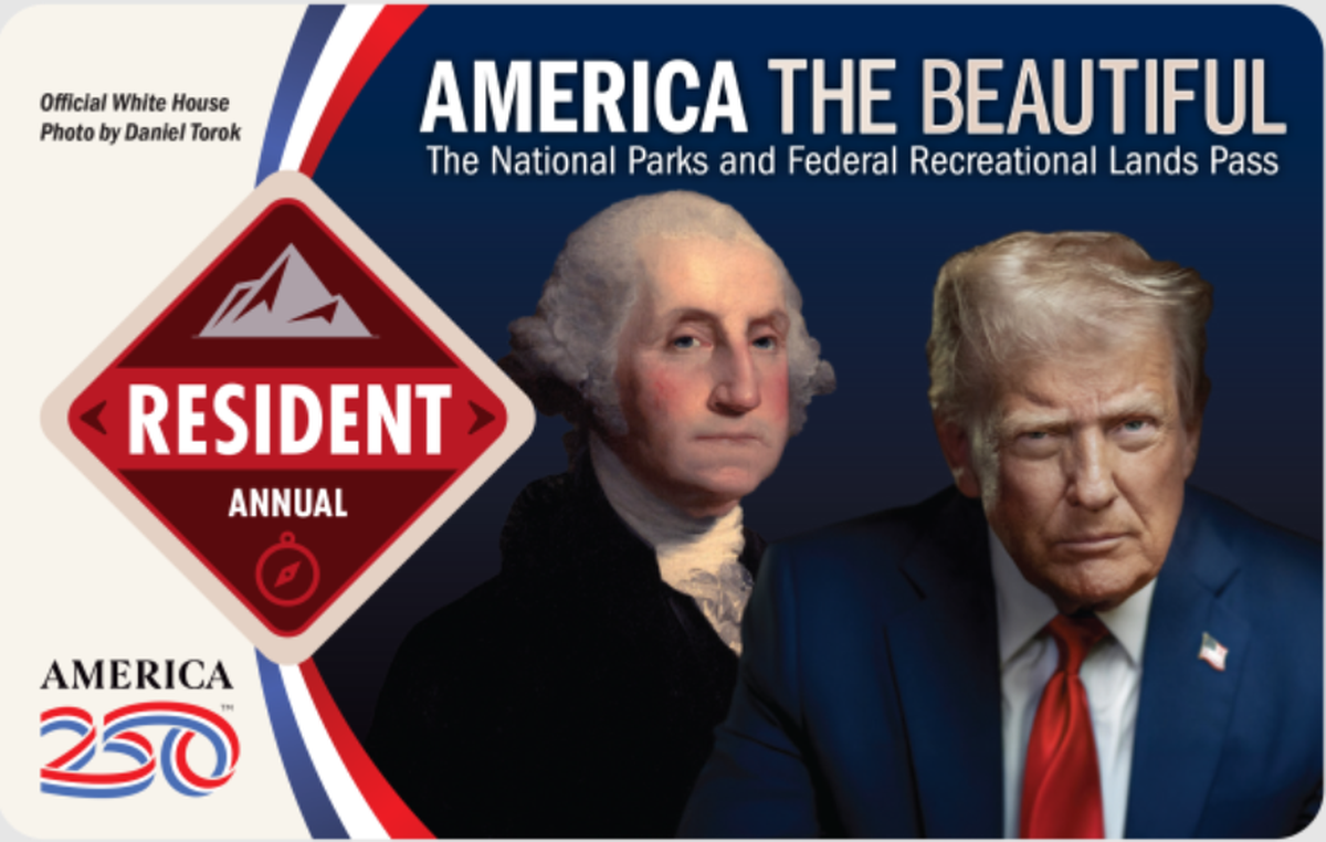 America the Beautiful Pass for free entry to national parks costs American citizens and residents $80. International visitors pay $250.