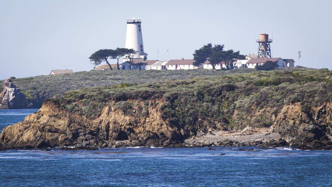The Piedras Blancas Light Station first illuminated the shoreline in 1875. The lighthouse is just north of the elephant seal rookery, seen here on March 3, 2026.