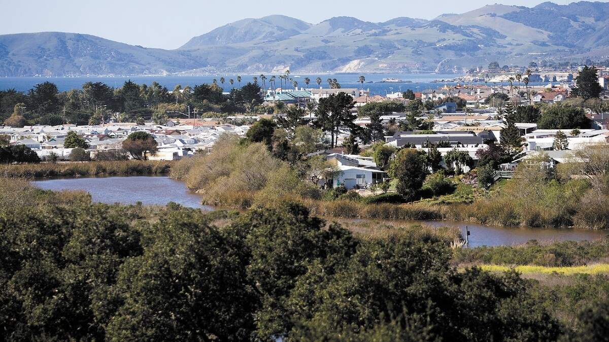 Pismo Lake Ecological Reserve features willow thickets and a lake with four large islands.